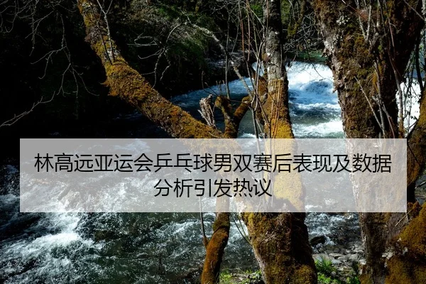 林高远亚运会乒乓球男双赛后表现及数据分析引发热议